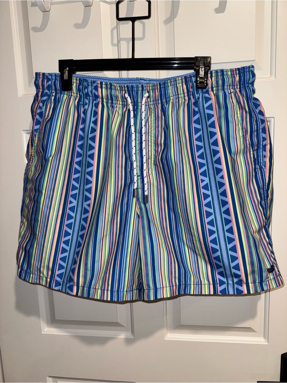 Southern Marsh Blue Multi-Stripe Swim Trunks